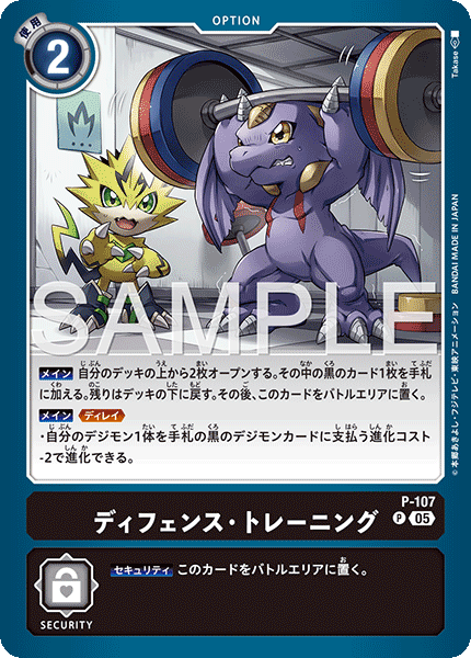 P-107防禦・訓練