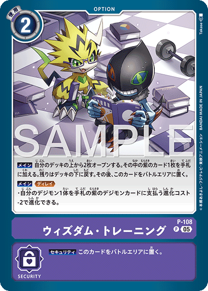 P-108智力・訓練