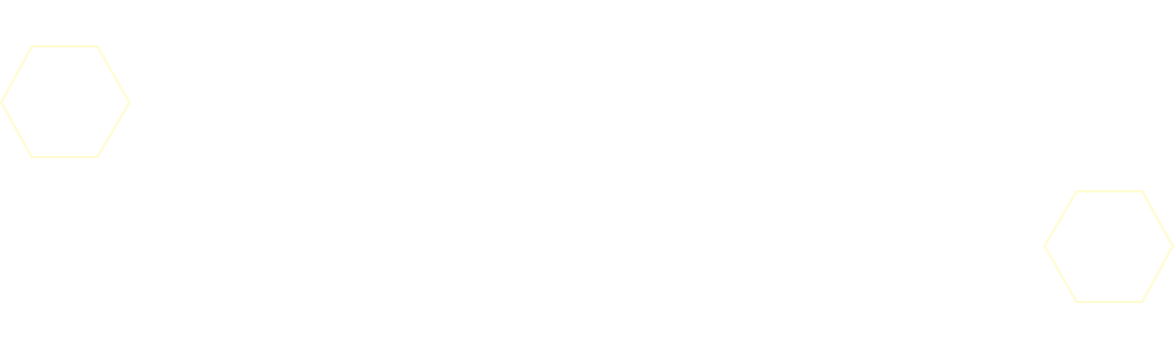 パートナーデジモンは新ギミック「DUALカード」で登場！
